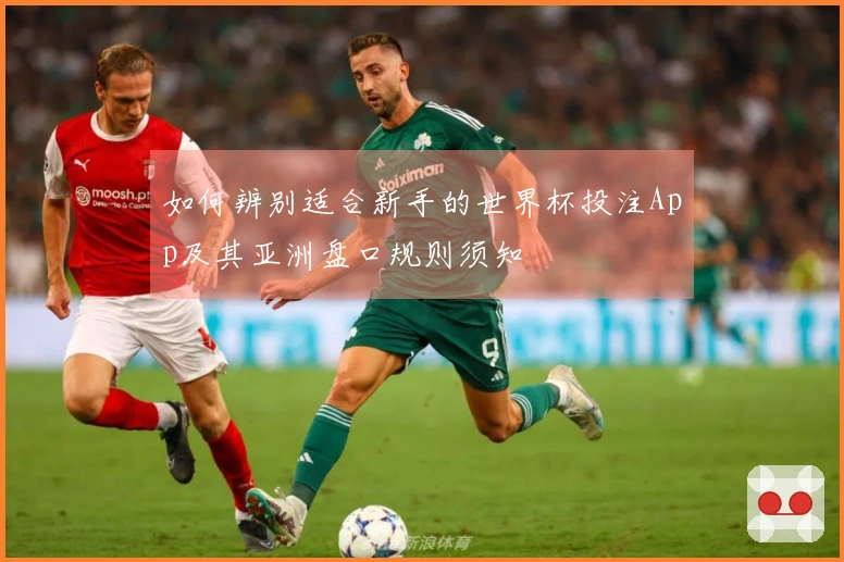 如何辨别适合新手的世界杯投注App及其亚洲盘口规则须知