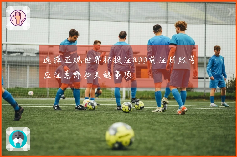 选择正规世界杯投注app前注册账号应注意哪些关键事项